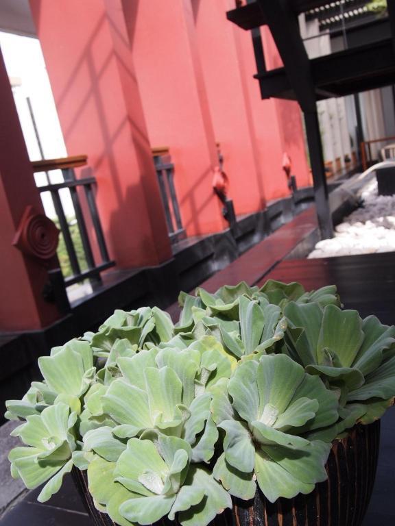 Loogchoob Homestay Bangkok Extérieur photo